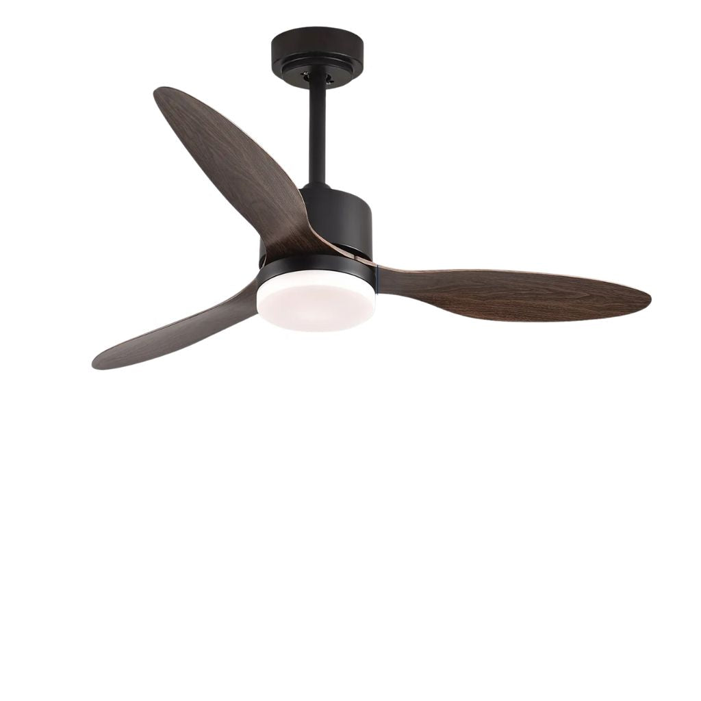 Ventilateur de Plafond LED Silencieux