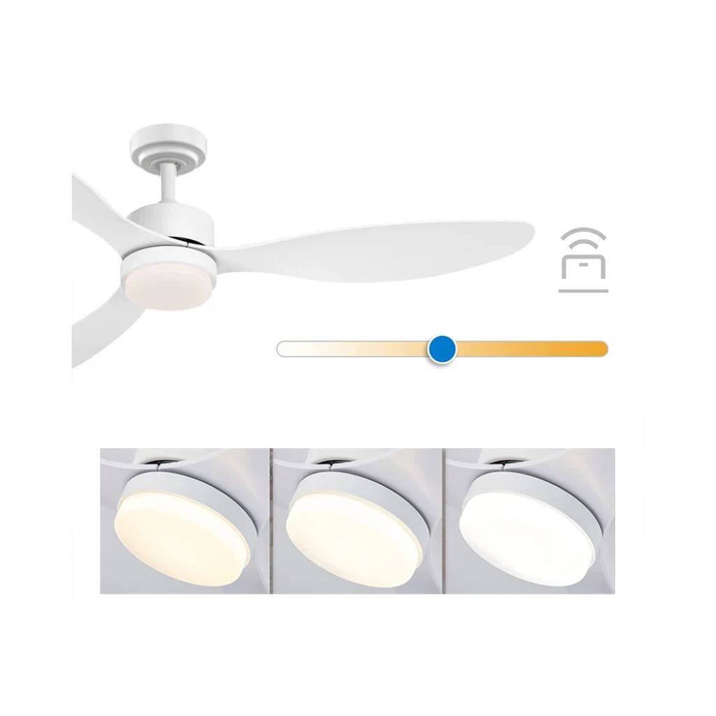 Ventilateur de Plafond LED Silencieux